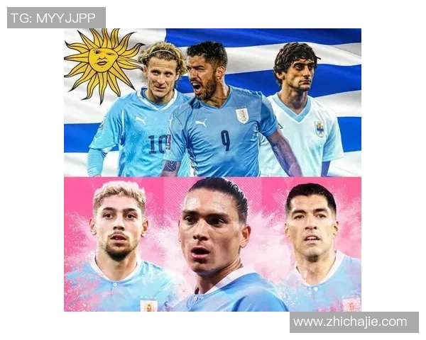 穿4号球衣的足球明星们如何在绿茵场上书写传奇故事